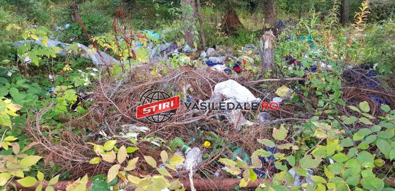 VREM O ȚARĂ CA AFARĂ: Pasul Prislop din Borșa – groapă de gunoi pentru culegătorii de fructe de pădure și ciuperci (GALERIE FOTO)