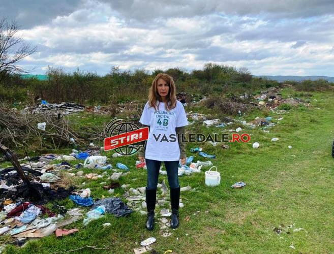 POŢI DEVENI VOLUNTAR DIGITAL: Aplicație de cartografiere TrashOut este soluția pentru păstrarea unui mediu curat!