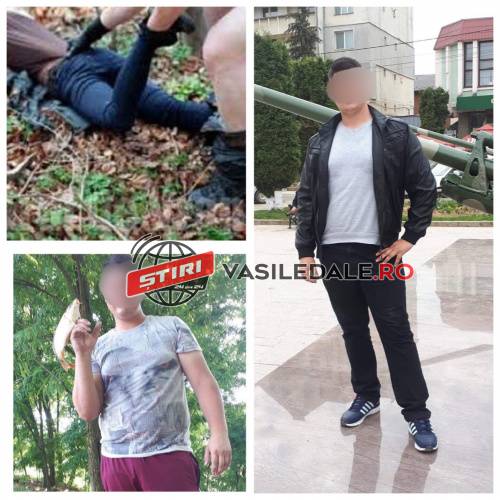 FOTO EXCLUSIV / ACTUALIZARE: Un puștan de 19 ani din Vima Mică a violat o localnică de 47 ani după ce a dus-o acasă cu mașina