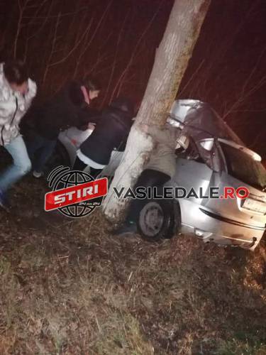 FOTO / Accident la Cicârlău: O şoferiţă s-a izbit violent cu maşina de un copac (ACTUALIZARE)