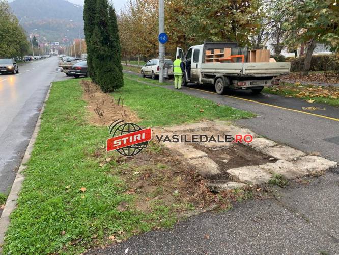 Chioșcuri degradate ridicate de pe domeniul public din Baia Mare