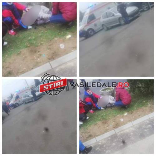 132133092_401623451081505_8553317909565894430_n