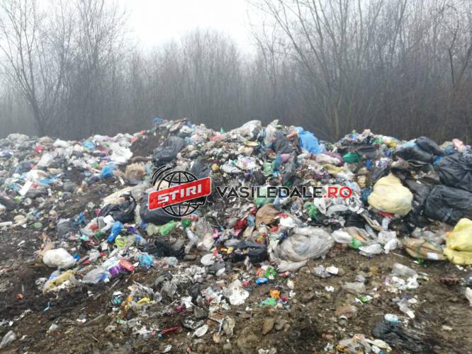 133281235_395692101696807_6290971588207927069_n