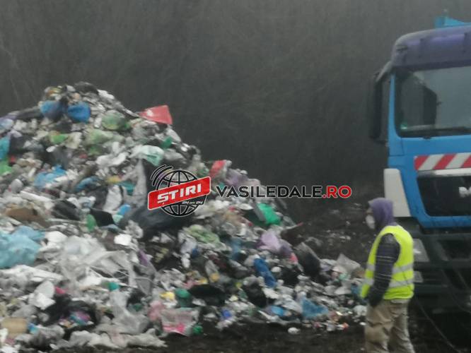 134072294_2008277382641539_4752651549285841164_n