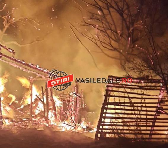 FOTO, VIDEO EXCLUSIV – Incendiu la un imobil din Baia Sprie