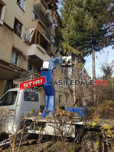 PRIMĂRIA BAIA MARE: Lucrări de toaletare a arborilor pe mai multe străzi