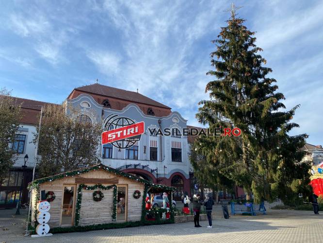 Târg de Crăciun caritabil organizat în Parcul Mara