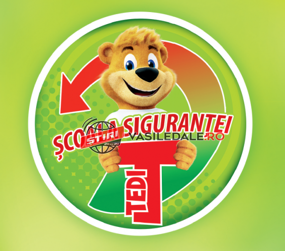 TEDI: Program național derulat online cu copiii maramureșeni, din 27 de școli