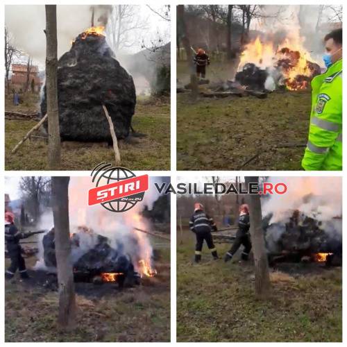 135315044_193065305814861_4763516085873050782_n