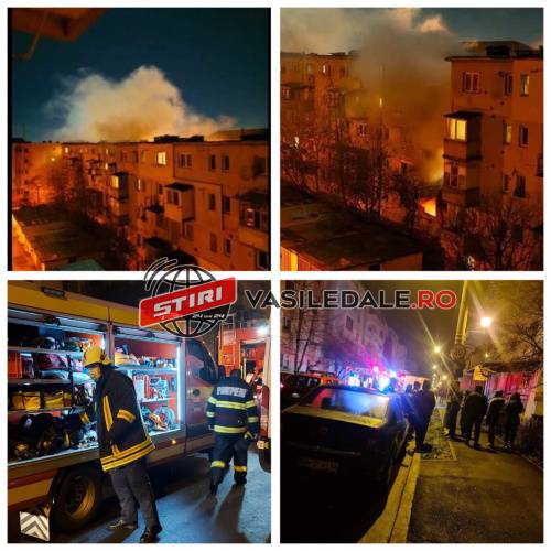 135536483_446212513042654_6460039285407672935_n