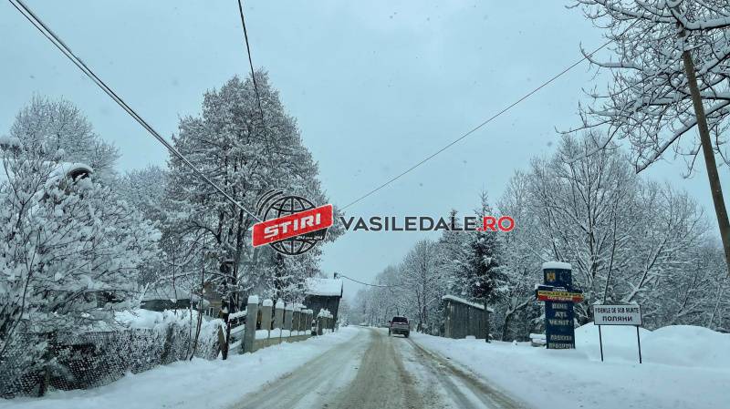 137315740_827199228130121_6827809059404116625_n