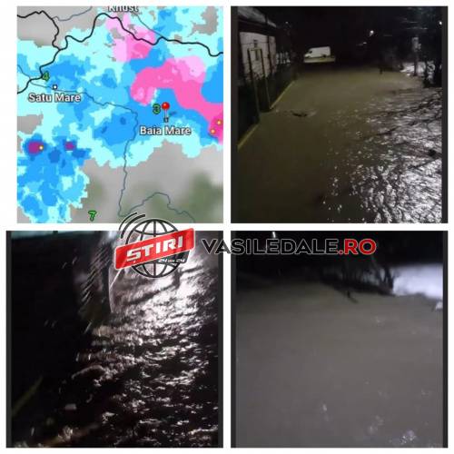 144599781_413887179671897_5899029457395972249_n