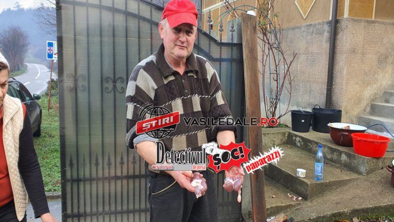 VIDEO! Porcul cu 14 RINICHI, de Cartea RECORDURILOR. Nici VETERINARII nu au văzut vreodată așa ceva. Vezi unde a fost SACRIFICAT