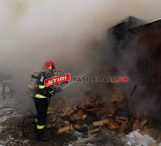 FOTO: Incendiu la o lemnărie din Vişeu de Mijloc