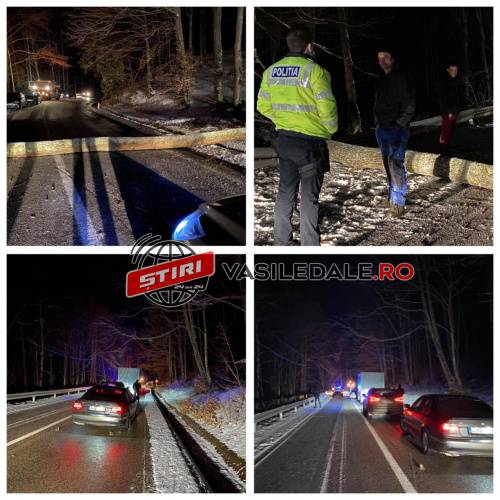 pas gutai 26 ian 2021 (1)