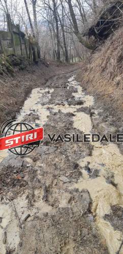 FOTO/ VIDEO EXCLUSIV: 25 de familii din orașul Vișeu de Sus ”înoată” în noroaie pe strada Merilor