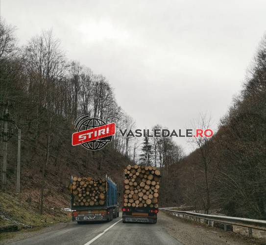 FOTO: Un camion din Maramureș încărcat cu lemne depășește, pe linie continuă și în curbă, pe un altul FOTO: Un camion din Maramureș încărcat cu lemne depășește, pe linie continuă și în curbă, pe un altul