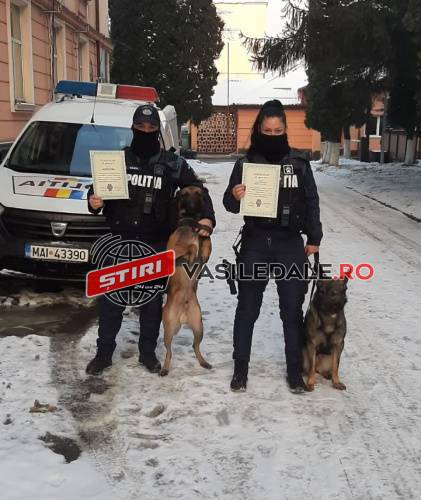 Doi polițiști ai Grupei Canine din cadrul IPJ Maramureş, felicitaţi pentru capturarea unei importante cantități de droguri