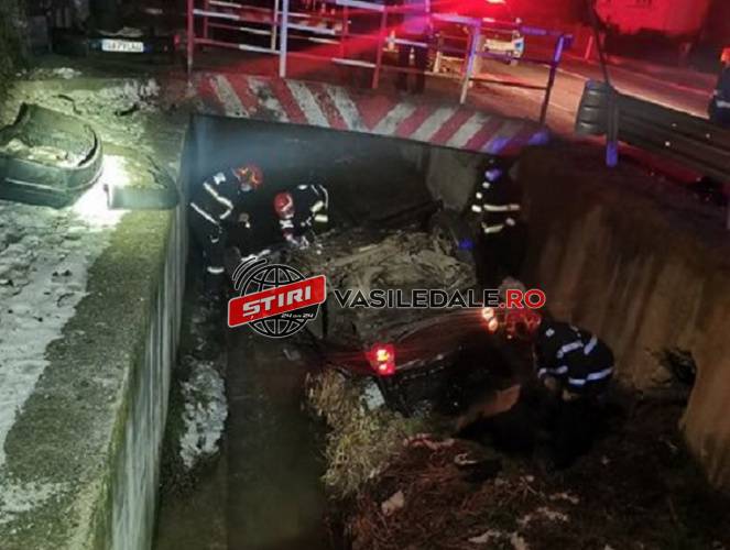 GALERIE FOTO: Urmărit de poliţişti, un șofer de 19 ani beat a aterizat cu maşina în pârâu la Vălenii Lăpușului