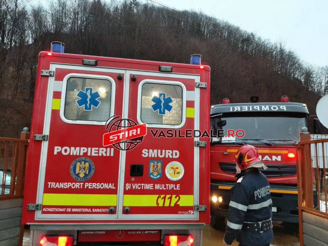 Incendiu la o casă de vacanță din Teceu Mic. A luat foc acoperișul
