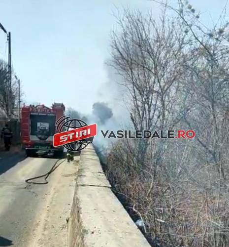 FOTO, VIDEO: Arde vegetaţia de pe malul Tisei, în zona gării Cămara Sighet