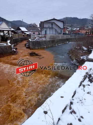 râul Băița_poluat cu ape de mină_17 februarie 2021