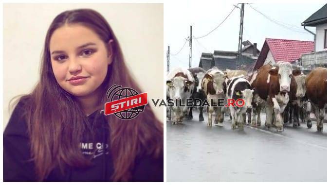 PRELUARE ACTUALMM: Ce spune o elevă de 15 ani referitor la protestul fermierului din Şomcuta Mare: “Sper sa dormiți liniștit la noapte știind ca ați stricat viitoarea generație de fermieri”