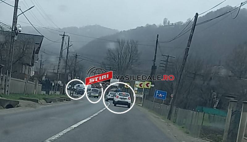 FOTO EXCLUSIV / ACTUALIZARE: În desfășurare – Percheziții la Borșa. Intervin 2 dube cu mascați și 4 Duster-uri cu polițiști