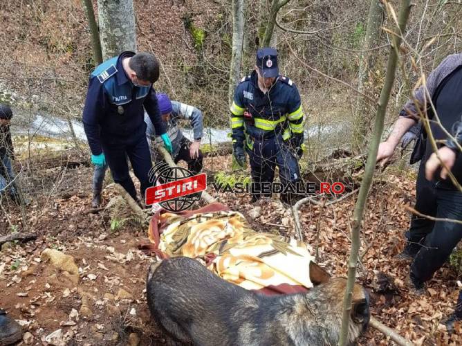 FOTO/VIDEO EXCLUSIV: Femeie de 81 de ani, dispărută de acasă de două zile, găsită decedată de polițiști, pompieri și localnici