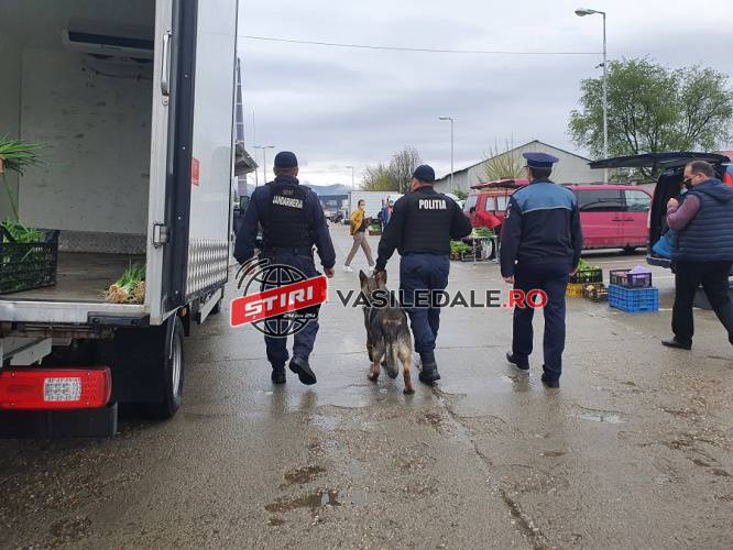 PAŞTE ÎN SIGURANŢĂ: Acţiuni comune IPJ şi IJJ în pieţe şi pe mijloacele de transport în comun