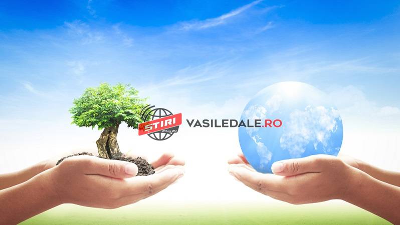 ZIUA INTERNAȚIONALĂ A PĂMÂNTULUI: Concurs de eseuri, organizat de Muzeul Județean de Mineralogie ”Victor Gorduza”