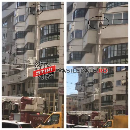 182829100_1201761833609602_7288848164074241467_n