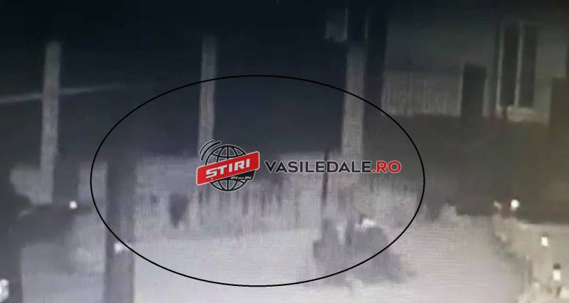 184522482_906744600170529_8751802279436658719_n