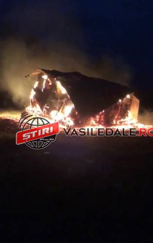 FOTO/VIDEO: Şopron cu fân mistuit de flăcări după ce a fost lovit de fulger la Poienile de Sub Munte