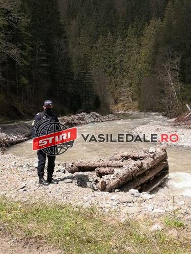 Recomandările jandarmilor pentru a evita atacurile urşilor