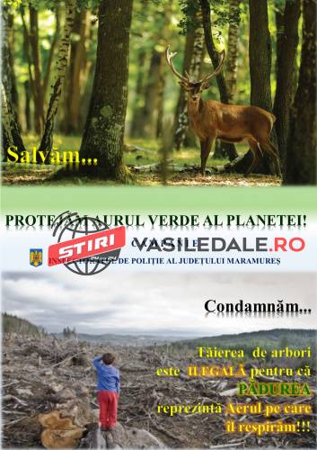 CAMPANIA PROTEJĂM AURUL VERDE: Prevenirea exploatării în mod ilegal a masei lemnoase din păduri