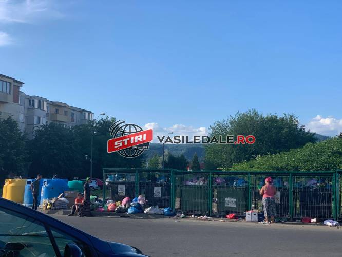 AJUNGEM CA ÎN SECTORUL LUI CLOTILDE? În weekend în cartierul Vasile Alecsandri din Baia Mare ghenele mustesc de gunoi și dau pe-afară