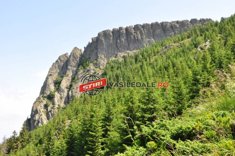 HAI ÎN DRUMEȚIE! Drumeție în Aria Naturală Protejată Creasta Cocoșului, de Ziua Mondială a Mediului în natură