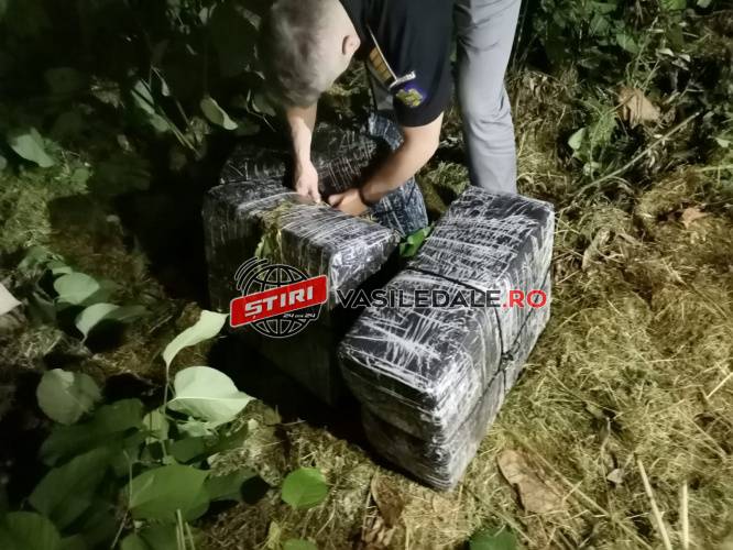 POIENILE DE SUB MUNTE: Doi maramureșeni coborau cu țigări de contrabandă în valoare de un miliard de lei vechi de pe granița cu Ucraina (FOTO)