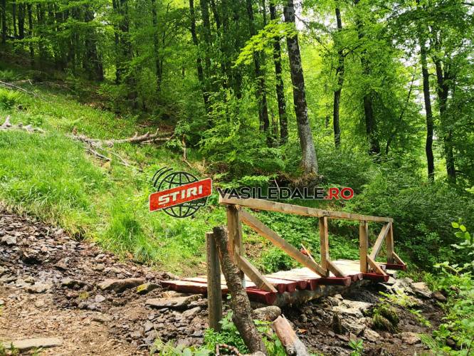 GALERIA FOTO: Podețul peste pârâul din rezervația naturală Creasta Cocoșului, refăcut de salvamontişti