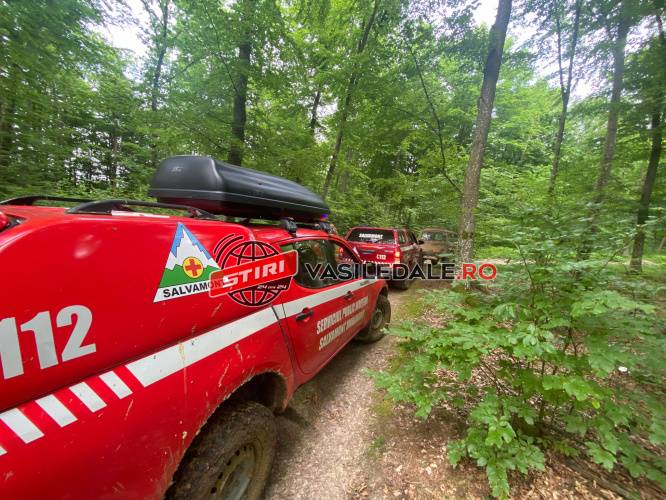 A PLECAT LA CULES DE CIUPERCI: Băiat de 14 ani, rătăcit în zona Chelinţa, căutat de salvamontişti. Minorul s-a întors acasă – ACTUALIZARE