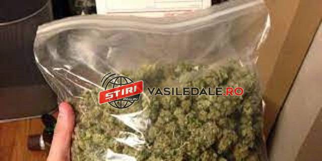 EXCLUSIV: Pasager prins cu droguri la îmbarcarea pe zborul Tarom Baia Mare – București Otopeni de pe Aeroportul Internațional Maramureș