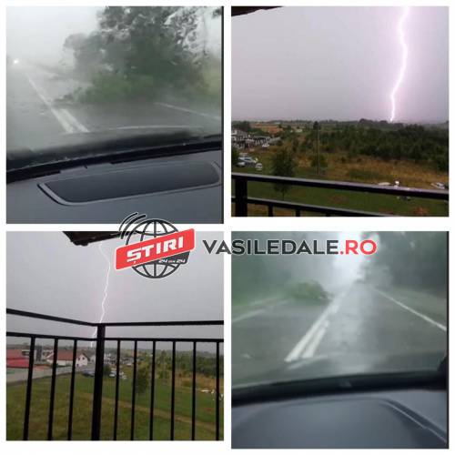 FOTO, VIDEO: Copaci rupţi de furtună şi aruncaţi pe şoselele din Ţara Chioarului