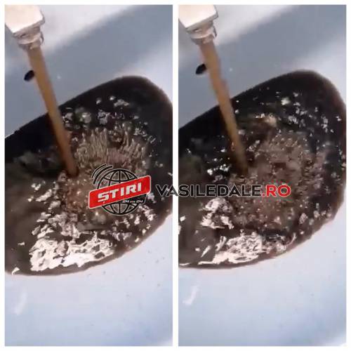 228280315_1420428658344023_940441385639180458_n