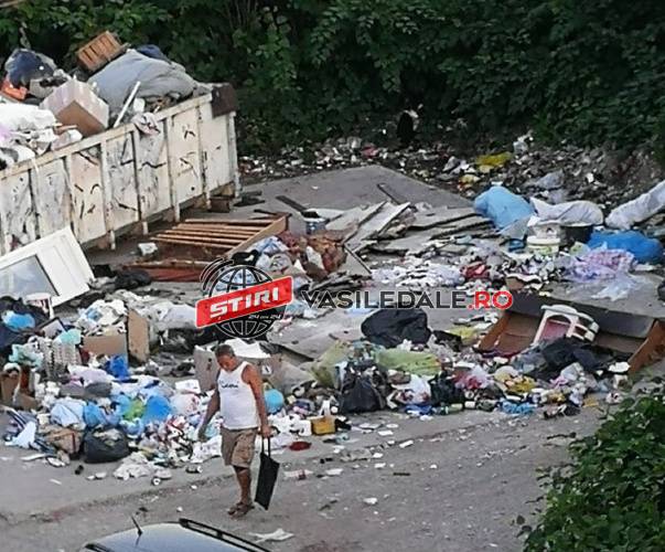 FOTO CITITORI: Strada Gării din Baia Mare a devenit un adevărat focar de infecție