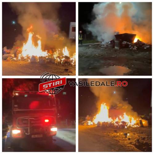VIDEO EXCLUSIV: BORȘA – Au aruncat gunoiul în tomberon apoi i-au dat foc