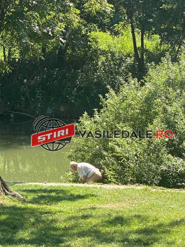 233941364_357030809339379_3305091172266321117_n