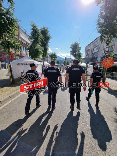 ORDINE PUBLICĂ: Jandarmii maramureşeni la datorie