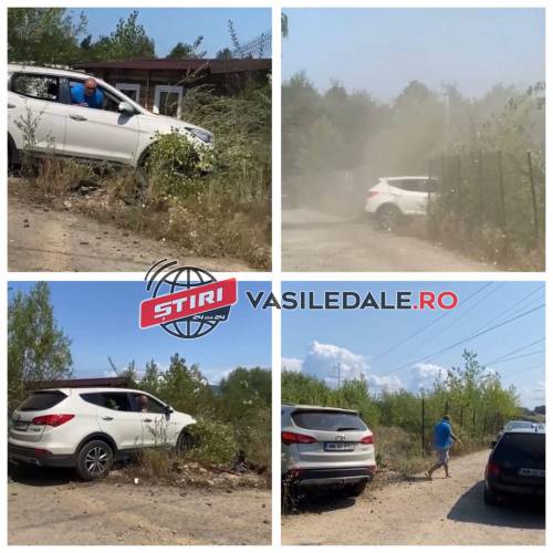 EXCLUSIV VIDEO: Incident pe o stradă din zona târgului auto din Baia Mare. Află toate explicațiile