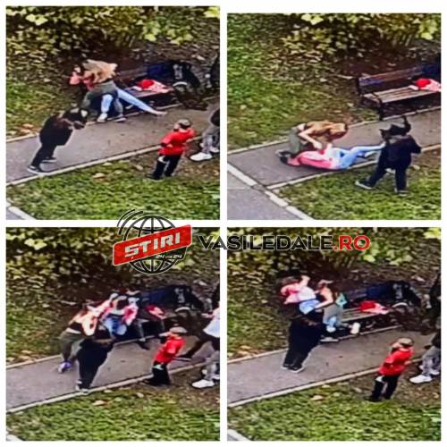 VIDEO | EXCLUSIV: S-AU PĂRUIT CA ÎN FILME – Două adolescente filmate lângă un parc din oraș în timp ce își împărțeau pumni și palme (ACTUALIZARE)